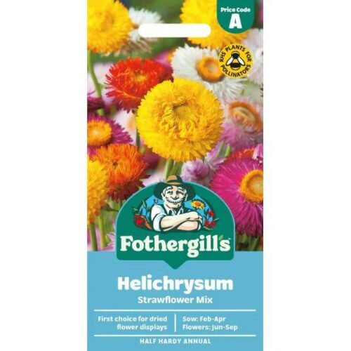 Helichrysum Strawflower Seeds Product Image