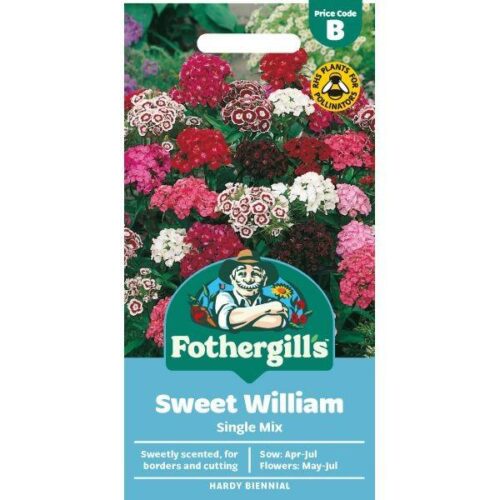 Sweet William Single Mixed Seeds Product Image