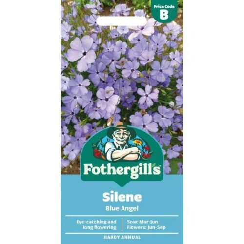 Silene Blue Angel Product Image