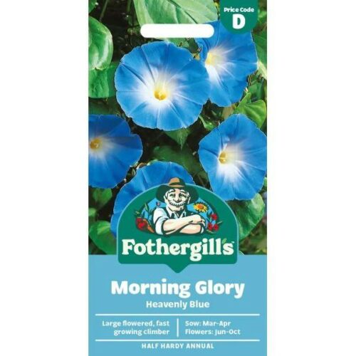 Morning Glory Heavenly Blue Seeds Product Image