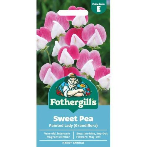 Sweet Pea Painted Lady Seeds Product Image