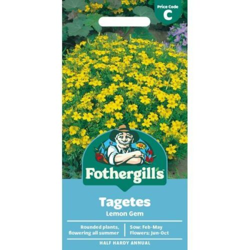 Tagetes Lemon Gem Product Image