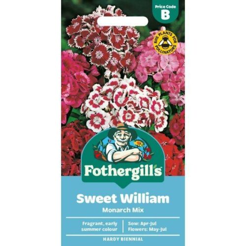 Sweet William Monarch Mixed Seeds Product Image