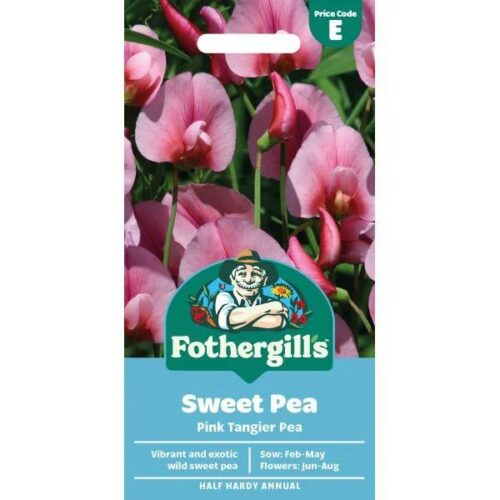 Sweet Pea Pink Tangier Pea Seeds Product Image