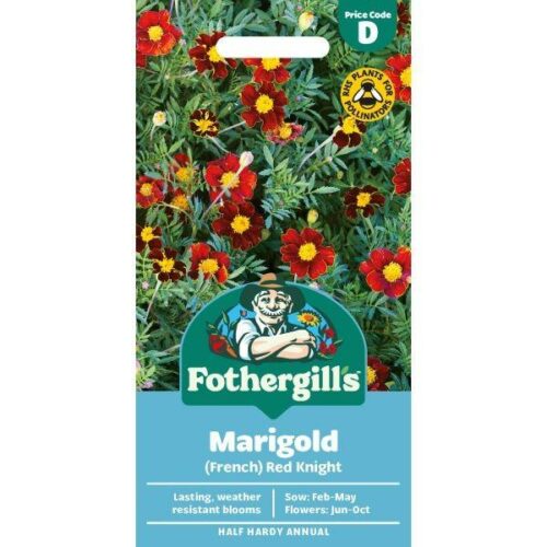 Marigold (French) Red Knight Product Image