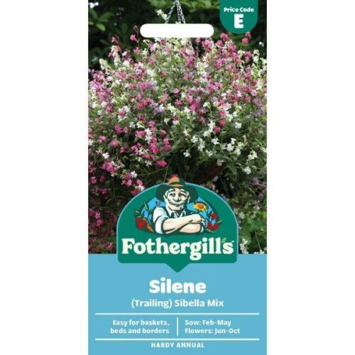 Silene Sibella Mix (Trailing) Flower Seeds Product Image