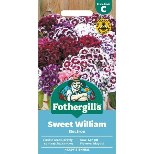 Sweet William Electron Seeds Product Image
