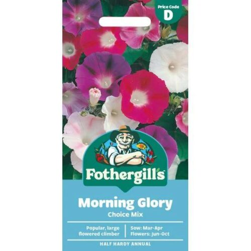 Morning Glory Choice Mixed Product Image
