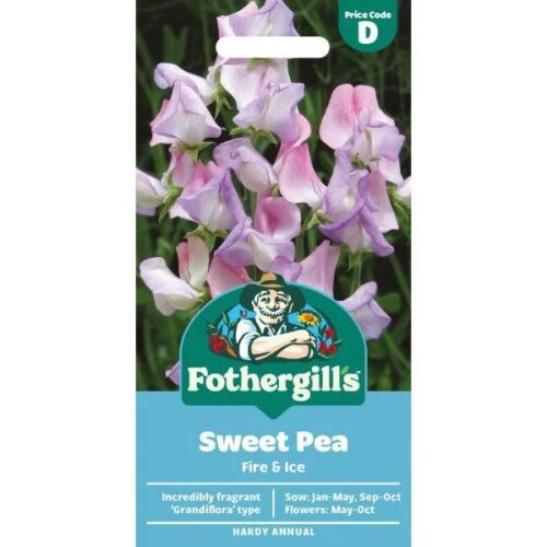 Sweet Pea Fire & Ice Seeds Product Image