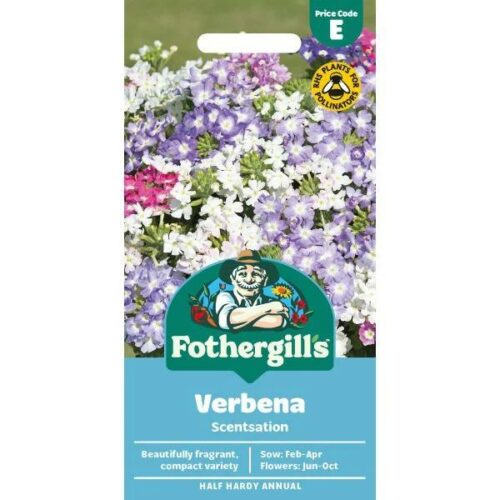 Verbena Scentsation Seeds Product Image