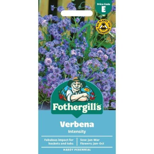 Verbena Intensity Seeds Product Image