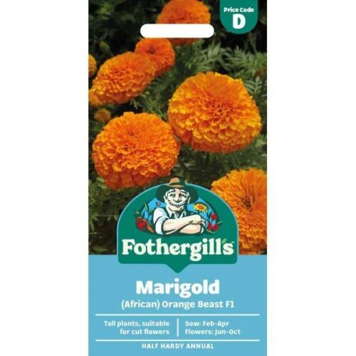 Marigold (African) Orange Beast F1 Flower Seeds Product Image