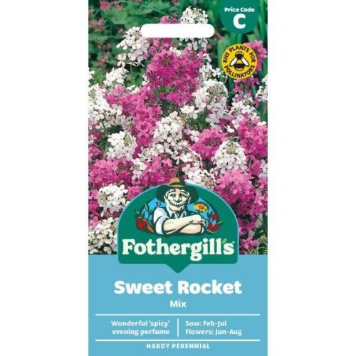 Sweet Rocket Mixed Seeds Product Image