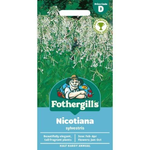 Nicotiana sylvestris Seeds Product Image