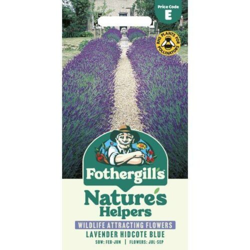 Lavender Hidcote Blue Seeds Product Image
