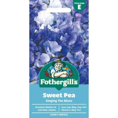 Sweet Pea Singing the Blues Seeds Product Image