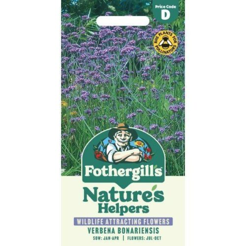 Verbena bonariensis Seeds Product Image