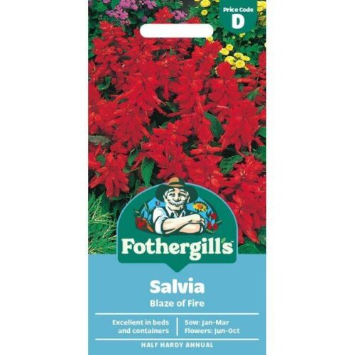 Salvia Blaze of Fire Product Image