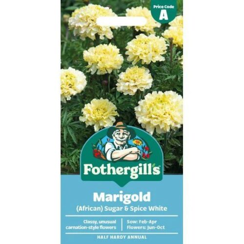 Marigold (African) Sugar & Spice White Flower Seeds Product Image