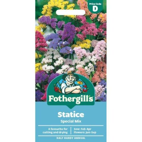 Statice Special Mixed Seeds Product Image