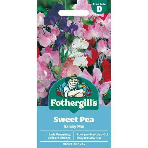 Sweet Pea Galaxy Mixed Seeds Product Image