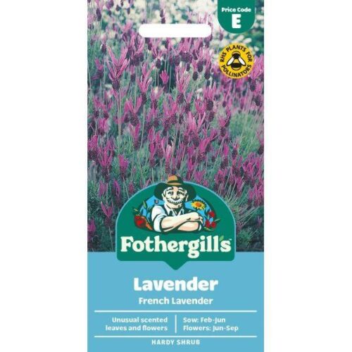 Lavender French Lavender Product Image