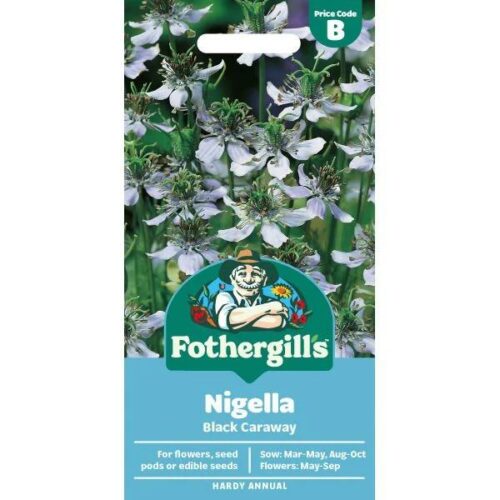 Nigella Black Caraway Seeds Product Image