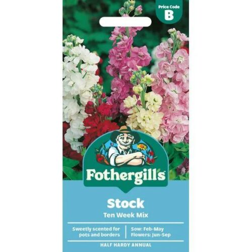 Stock Dwarf Ten Week Mixed Product Image