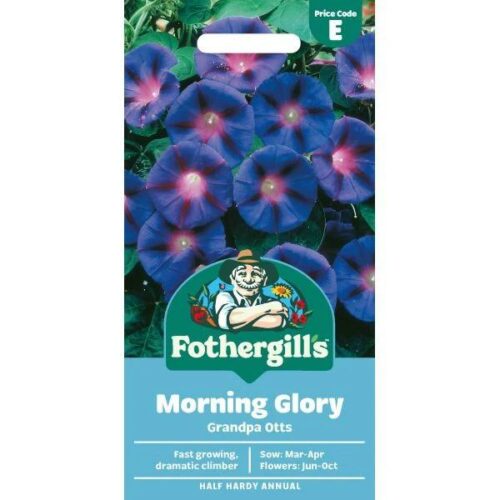 Morning Glory Grandpa Otts Seeds Product Image
