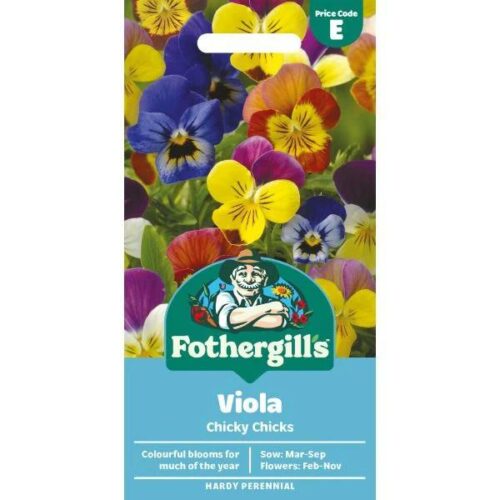 Viola Chicky Chicks Seeds Product Image
