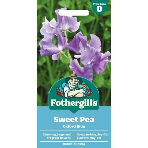 Sweet Pea Oxford Blue Seeds Product Image