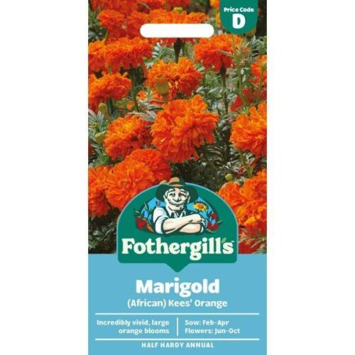 Marigold (African) Kees’ Orange Seeds Product Image