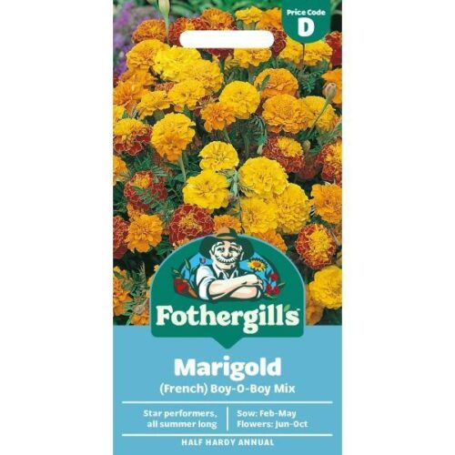 Marigold (French) Boy-O-Boy Mixed Seeds Product Image