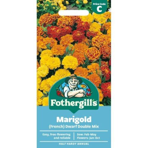 Marigold (French) Dwarf Double Mixed Product Image