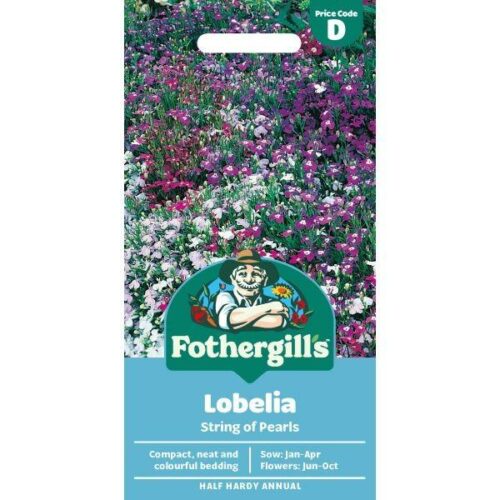 Lobelia String of Pearls Seeds Product Image