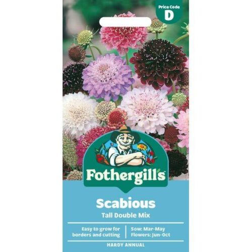 Scabious Tall Double Mixed Seeds Product Image