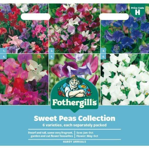 Sweet Pea Seed Collection Product Image