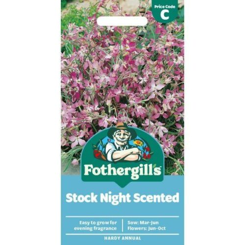 Stock Night Scented Product Image