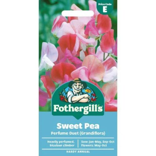 Sweet Pea Perfume Duet Seeds Product Image