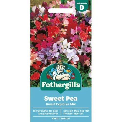Sweet Pea Dwarf Explorer Mixed Seeds Product Image