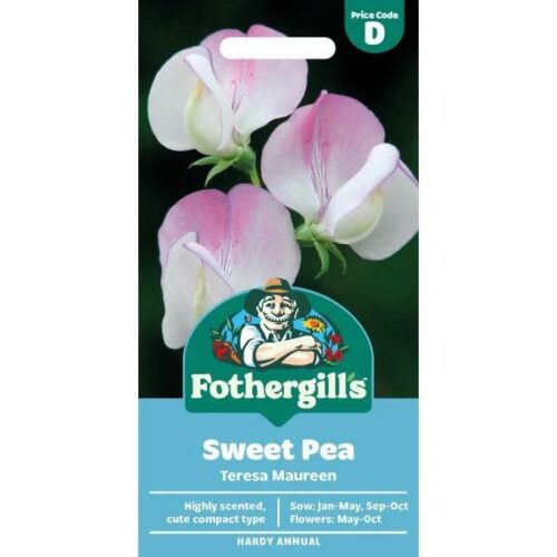 Sweet Pea Teresa Maureen Product Image