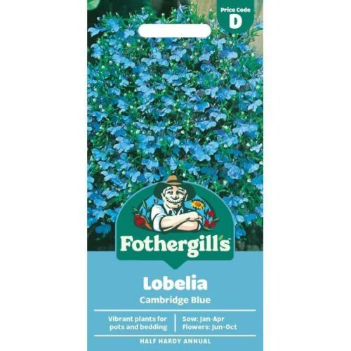 Lobelia Cambridge Blue Seeds Product Image