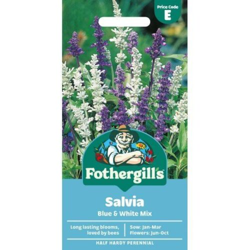 Salvia Blue & White Mixed Product Image