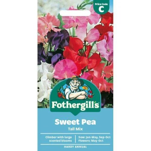 Sweet Pea Tall Mixed Seeds Product Image