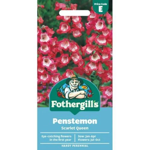 Penstemon Scarlet Queen Seeds Product Image
