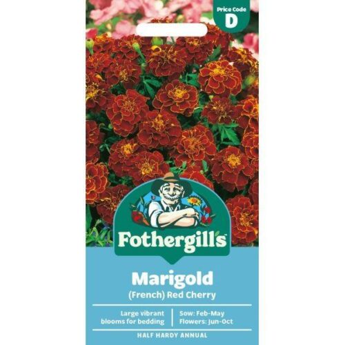 Marigold (French) Red Cherry Seeds Product Image