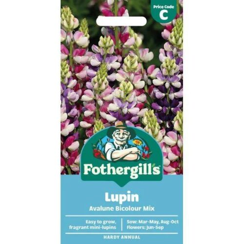 Lupin Avalune Bicolour Mix Product Image