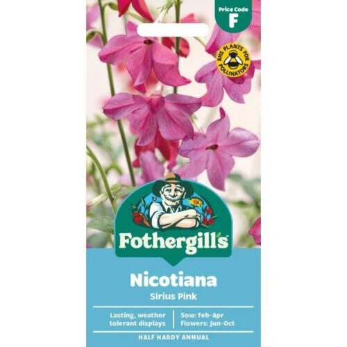 Nicotiana Sirius Pink F1 Seeds Product Image