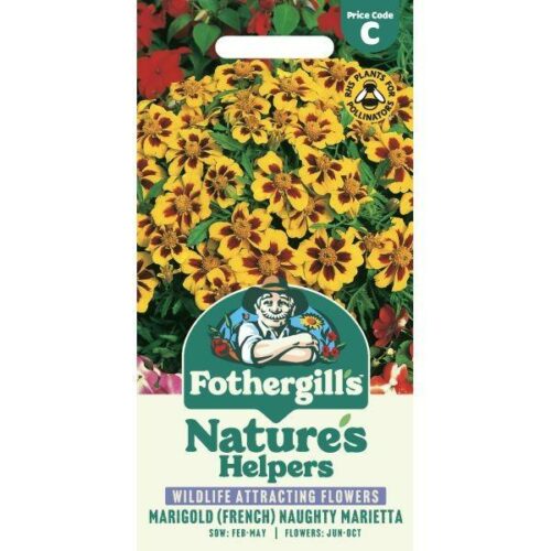 Marigold (French) Naughty Marietta Seeds Product Image