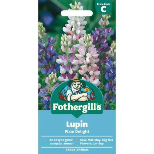 Lupin Pixie Delight Seeds Product Image